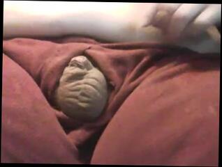 Video 945957403: chubby boy solo, chubby gay solo, chubby male solo, solo boy handjob, chubby gay amateur, solo gay dick, solo gay cock, chubby penis, chubby fat boy, chubby small dick, jerks small penis, small penis cum