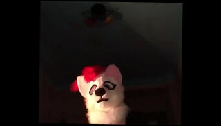 Video 1367343665: furry femboys, femboy cums, femboy cumshot, fap