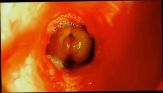 Video 1664539891: gay bareback twink boy, twink boys bareback fuck, sexy twink bareback gay, twink anal fucks bareback, bareback twink gay sex, twink bareback fucking teen, sexy femboy twink, twink bareback moans, twinks hot bareback fucking, barebacks young twink gay, big dick twinks bareback, twink big cock bareback, homemade twinks bareback, fetish twinks anal, russian twinks bareback, twink barebacked roughly, twinks gays boys masturbations, femboy fuck toy, bareback anal hole fucking, men fucking anal bareback, gay bareback fucking male, bareback fuck sloppy, sex doll fetish, fucking bareback hd, femboy close, romantic bareback