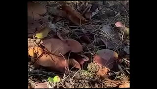 Video 999444495: amateur fucked outdoors