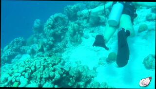 Video 1656549861: solo milf fingering, solo fingering pussy masturbating, girl masturbating solo fingering, amateur milf solo masturbation, milf fingers masturbate pink, milf caught masturbating, fingering mistresses pussy, fetish solo masturbation, nude milf solo, milf solo naked, milf fingering orgasm, solo fingering sex, milf cumming solo, american milf solo, fingering solo outdoor, solo female fingering, milf fingers big, milf solo hd, woman caught masturbating, solo clit masturbation, pussy clitoris fingerings, close solo amateur girl, solo masturbating straight, beach masturbation caught, fingering big lips pussy, underwater fetish, muscular milf, big clit play, one masturbating, best masturbation