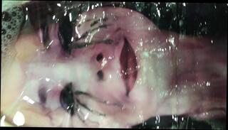 Video 1653139401: spanish gay