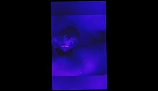 Video 1599916403: pov dick sucking amateur, pov blowjob handjob cumshot, dick pov blowjob cum, sucking big dick pov, amateur big ass pov, pussy pov cum, pov ebony sucking, mouth pov cummed, old pov, young pov, sucking dark