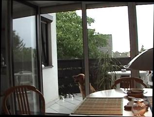 Video 84024604: amature sucks, amature fuck, blonde sucking fucking, amateur blonde blowjob