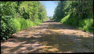 Video 1663589643: amateur solo cock, solo gay cock, dick solo male, small dick solo, solo male public, amateur irish