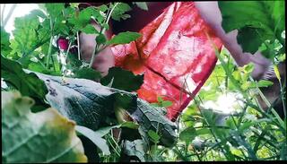 Video 1658341411: doggy cumshot milf anal, big tits milf doggy, big ass milf doggy, big tits milf fingering, big boobs milf fingering, milf wife doggy, milf hardcore doggy, desi milf doggy, hot milf doggy, asian milf doggy, boobs milf anal sex, big tits woman fingers, indian milf hardcore sex, milf step mom sex, ass fingering big cock, milf big tits dick, indian milf nude, hot big breasted milf, hottest big tits milf, milf mom step son, hot natural tits milf's, asian milf nipples, big cock milf surprise, women doggy, milf anal hd, straight doggy, milf biggest, indian desi housewife sex, sexy indian nude