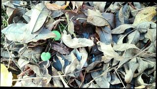 Video 1665118961: pov cumshot creampie, pov creampie cum, cock pov creampie, creampie pov hd, pov creampie big, pov masturbation cumshot, pov cock outdoors, creampie nude, gay creampie