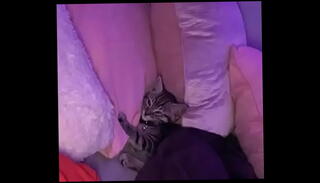 Video 1655616615: lesbian pussy, blowjob lesbian, gay