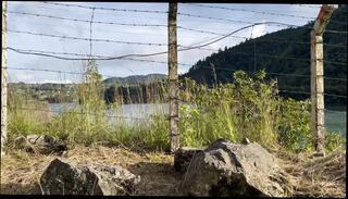 Video 1665738401: stepmom milf stepsister, ass milf stepmom fucked, horny milf stepmom fucks, tits milf stepmom fucked, ass milf doggy fucked, stepsister fucked doggy style, fucked doggy style uncensored, doggy style fucked granny, milf wife doggy style, milf mom stepmom, big ass stepmom doggy, big boobs milf stepmom, milf doggy style sex, milf stepmom licks, stepmom milf teen, stepmoms milf friend, colombian milf stepmom, grandma doggy styled, beautiful milf stepmom, old milf stepmom, teen boy fucks stepmom, ass girl fucking doggy, grannies step moms fuck, milf step daughter mom, girls sex uncensored hd, pornstar fucked doggy style, granny fucks step son, neighbor fucks grandma, very horny stepsister, spanish milf fucked, horny milf housewives, women doggy style, milf fucks older, super horny milf, extremely horny milf, doggy style straight