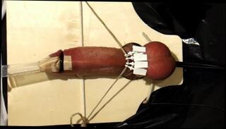 Video 347093801: clamp torture, clamps ball, clamps masturbation, handjob torture, gay torture, torturing man, balls hd