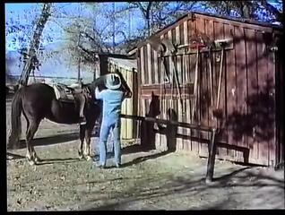 Video 1588233801: vintage gay, vintage anal, vintage masturbation, vintage blowjob, american vintage, tattoo gay anal, guy deep throat