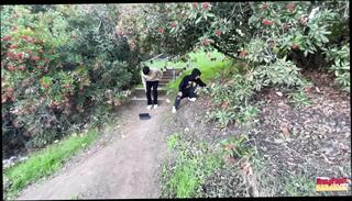 Video 1665234761: twink boys bareback fuck, daddy fucks twink bareback, gay bareback twink boy, twink bareback fucks cum, amateur twink couple bareback, twink bareback gay porn, twink anal fucks bareback, twink bareback fucking teen, bareback twink gay sex, twink femboy fucks, twink big cock bareback, twinks blowjob bareback, caught fucking bareback, twinks bareback cumshot, twink barebacking outdoors, twink bareback breeding, twink boys nude gay, gay twink fucked deep, tattooed twink fucks, twink sucks, twink car blowjob, fucking bareback hd, twink hanging, twink heads