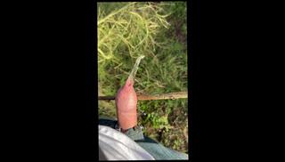 Video 1659145963: pissing peeing fetish, solo pee fetish, solo gay uncut cock, uncut dick piss, uncut cock pov, pee pissing outdoor, solo male pee, pissing penis gay, daddy big uncut cock, pissing straight gay, amateur uncut cock, amateur russian pissing, gay man pissing, amateur public piss, pov german amateur, sexy play