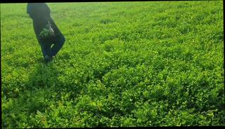 Video 1658966211: lexi lynn, pussy licking cuckolds compilation, lesbians pussy licking cunnilingus, tits lesbian milf licking, lesbian ass licking compilation, milf licking teen lesbian, compilation cum eating cuckolds, big tit aunty lesbian, virgin ass compilation, cuckold orgasm compilation, milf aunty sex, milf young lesbian sex, sexy milf compilation, milf cuckold anal, milf masturbation compilation, hardcore lesbian milf, desi aunty milf, indian aunty lesbian, lesbian love compilation, japanese milf compilation, tits milf cheating wife, sexy aunty nude, virgin tight pussy ass, straight virgin ass, desi old aunty sex, big ass pakistani aunty, bangladeshi aunty sex, 18 year virgin teen, tit tied lesbians love, nude celebrity compilation, egypt lesbian, funny compilation