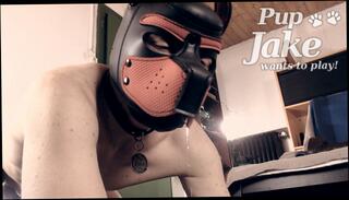 Video 1663479723: ass fucked dildo machine, dildo anal fuck machine, anal solo fucking machine, solo dildo masturbation orgasm, anal dildo toy fetish, fucking machine prostate, dildo machine cum, closeup dildo fuck, solo anal dildo play, solo amateur dildoing, solo dildo webcam, solo male dildo, solo masturbation moaning orgasm, machine fuck deep anal, machine fucking ass hole, large dildo cum, sloppy dildo fuck, drooling dildo, puppy fetish, dildoing french, fucking cum dripping, fucked deep cums hard