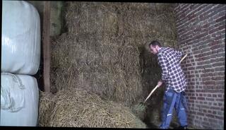 Video 1622532031: sex hot babes amateur, babes big tits cummed, big tits babe blowjob, straight blowjob cum, big boobs hot babe, hottest amateur big tits, amateur sex hd