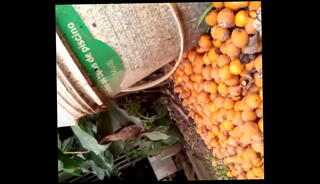 Video 1665114915: perfect ass anal sex, big ass anal sex, gay big ass anal