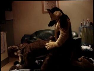 Video 378549801: gay furry fuck, two furry, gay anal fucking porn, amateur porn fucking