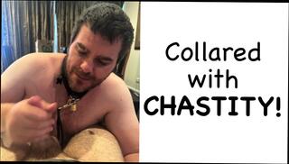 Video 1658622031: dominate humiliate slaves, master dominate slave, gay humiliation slave, pov ass domination, slave training humiliation, chubby dominant bear, pov blowjob masters, couple pov blowjob, homemade pov blowjob, pov blowjob handjob, chubby daddy bear, pov blowjob hd, chubby australian, chubby english, chubby hotel