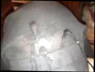 Video 854263701: humiliation bitches, straight humiliation, very horny cum, horny whore, blowjob whore, egyptian bitch, muslim bitch