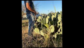 Video 1664293793: pissing peeing fetish, solo pee fetish, pee desperation pissing, pee pissing outdoor, solo male piss, amateur public piss, pissing bed