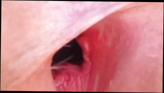 Video 1417872801: wide open, closeup ass hole pussy, babe pussy closeup, closeup dick sucking, closeup pussy licking, wife pussy closeup, gaping, babes share dick lick, babe sucking fat dick, sucking dick taking cum, dick sucking straight, lick man ass hole, sucking dick outdoors, dick inside pussy, sucking american