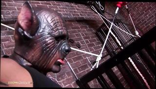 Video 1600447621: milf fuck orgy, tits milf orgy, milf orgy hd, cock fucking sucking orgy, horny milf sucks cock, milf sucking cock cum, milf blowjob tit fuck, tits milf sex cumshot, cock cage fuck, horny milf loves cock, guy fucking horny milf, horny milf fucked hard, milf cunt fucked, milf cock sucker, milf loves hardcore sex, milf sharing hard cock, wet milf cunt, gorgeous horny milfs, chick orgy, milf fucking harder, milf fucked standing, milf sucking friends, caged dick, milf stockings fucking, milf car blowjob, orgy straight, hot caged, biggest orgy, cosplay orgy, chick fucks two guys, horny hot tie chick, fucking hard delicious, fucking position