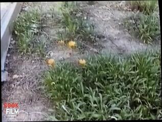 Video 1642828241: china lee, milf threesome double, milf fingered pussy licked, milf pussy fucked doggy, double fucking anal threesome, amateur milf fucked doggy, milf fingering wet pussy, double dick threesome, milf shaving pussy fingering, milf double blowjob, big tits milf double, milf wife doggy, vintage anal threesome, vintage teen 18 threesome, milf double stuffed, desi milf doggy, milf fingering tight, girls fingering licking pussy, finger fucking pussy cumming, milf tit fucks cock, pussy licking eating fingerings, babe double penetrated, milf cum inside pussy, indian girl pussy fingering, nude fingering pussy, fingering wet pussy close, chinese girl fingers, fingering old pussy, vintage straight, 18 year old doggy