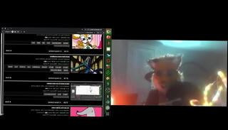 Video 1596918755: furry friend