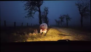 Video 1578607111: pee pissing outdoor, solo pee, big ass shemale solo, big tits shemale solo, shemale public solo, shemale lingerie solo, big tits solo hd, stocking pee