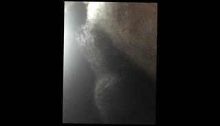Video 726164403: chubby amateur creampie, solo amateur fingering, fingered fucked creampie, chubby gay solo, chubby male solo, chubby black amateur, finger fucked rough