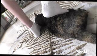 Video 1624803361: david perry, tiny threesome, dick tiny pussy, tiny dick teen, tiny teen facialized, tiny japanese teen, tiny young asian teen, small tiny dick, tiny petite pussy, threesome pussy eating, teen threesome hd, straight threesome, tiny huge, great dick