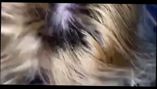 Video 1234122665: dirty cock sucking, dirty blonde sucks, blowjob whore