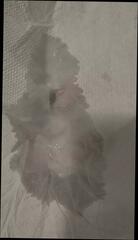 Video 1621694031: pov bareback cumshot, bareback pov cock, gay pov bareback, pov big cock masturbation, pov wanking cock, pov masturbation cum, amateur pov masturbation, pov homemade handjob, pov cumshot close, small cock bareback, mans cock pov, pov handjob hd, gay belgian, dick