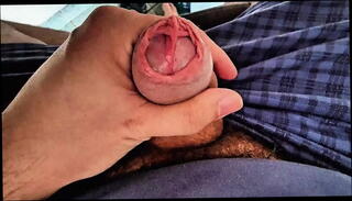 Video 1653653135: cock precum, big cock play, slit, cock head
