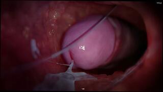 Video 1621186765: anime game porn gay, anime sex porn, anime anal sex, animation sex big, big ass anime, anime handjob, animation game play, sex poses