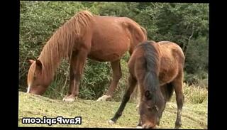 Video 338675865: bareback gay men, gay bareback latin, hot sexy anal