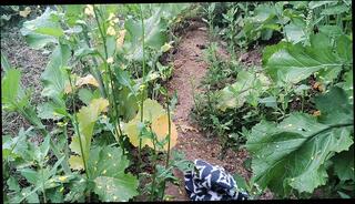 Video 1658590141: hairy twinks bareback, twink boys bareback fuck, daddy fucks twink bareback, gay bareback twink boy, twink bareback fucks cum, gay twink boy fingered, bareback fucking twink hardcore, bareback twink gay sex, twink bareback ass fucking, twink bareback fucking teen, stepdad fucks twink, twink latino bareback fucking, hairy hunk bareback, daddy barebacks asian twink, twink bareback fucked hard, crossdresser fucked bareback, bareback fuck young twink, twinks hot bareback fucking, hairy cock pumps, lick finger hairy, twink big cock bareback, homemade twinks bareback, twink first time bareback, twink bareback breeding, hairy muscle bareback, mature crossdresser bareback, homosexuals fuck hardcore bareback, straight boy fucked bareback, handjobs gay hardcore bareback, bareback homosexual guys fuck, fucks stepdad's huge cock, handsome boys fucking bareback, indian hairy ass fuck, twink boys kissing, pumped cock balls, twink fuck old gay, husband finger fucks, stepdad family sex, extreme cock pumping, bareback fucked mouth