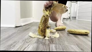 Video 1629769031: worship feet foot toes, feet foot fetish toes, barefoot foot fetish, pov feet toes, feet fetish solo, girl feet fetish, homemade foot worship, straight feet worship, foot crush fetish, giantess feet pov, big feet long toes, foot fetish hd, older women solo, feet smash