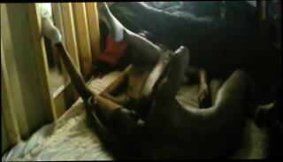 Video 1665535371: feet gay porn, hd feet porn, feet couple, homemade feet, feet blowjob, african feet, american feet, ass digging, deep ass