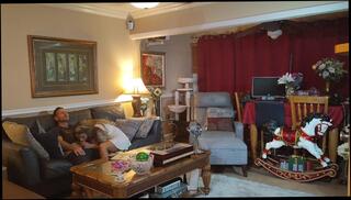 Video 1622699163: amateur blowjob, amateur taboo