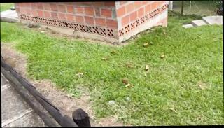 Video 1665534611: pussy fuck uncensored, sucks fucks uncensored, uncensored cock sucking, anal fuck uncensored, girls sex uncensored hd, fucks uncensored big, housewife uncensored, moaning uncensored, missionary uncensored, mom uncensored, uncensored wife, uncensored big ass, uncensored handjobs, uncensored teen, first time uncensored, story uncensored, uncensored cute, uncensored beautiful, cock sucker ass fucked, webcam girl fucking pussy, fuck sucks neighbor's cock, straight cock sucker, big ass colombian fucked, fucking neighbours wife, venezuelan girl fucks, colombia fuck