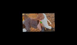 Video 1663597763: strapon femdom pegging anal, femdom pegging pov, femdom pegging husband, femdom wife pegging, amateur femdom pegging, strapon anal dildo, pegged hard femdom, big strapon pegging, tits wife pov, amateur femdom couple, anal toys strapon, wife strap, big tits brunette dildo, mouth cum