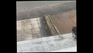 Video 1663200965: dick sexy cock, cock big dick masturbation, sexy big black dick, hard dick