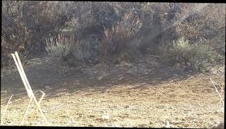 Video 971106055: solo boy, dick solo, solo jack, boy flashing