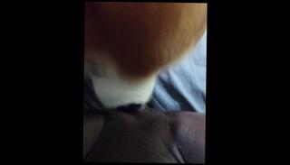 Video 1599781333: amateur orgasm solo, clit solo, solo female orgasm, bear solo, pussy licking