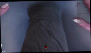 Video 1602509833: hentai cartoon pov, sex cartoon porn hentai, cartoon pov blowjob, girls pov hentai, hentai pov fuck, amateur pov blowjob, female pov blowjob, pov porn play, asian blowjob pov, wow hentai, pov 60fps