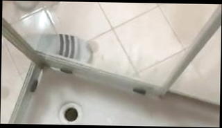 Video 1538451201: gay handjob, italian handjob
