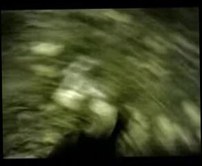 Video 1625559881: bulgarian gay
