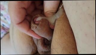 Video 1619002403: chubby amateur solo, solo masturbation chubby, fetish solo masturbation, chubby male solo, tiny chubby, dick solo masturbating cumming, solo cock masturbation cum, tiny dick jerk, tiny penis cum, tiny dick cumshot, small tiny dick, tiny dick man, chubby fat amateur, close cock chubby, haired chubby, 60fps amateur